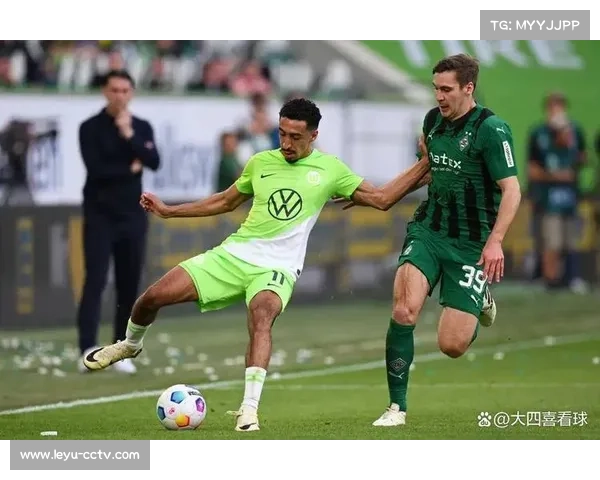 德甲第22轮伤病潮：多特防线受损，美因茨三线缺员，阵容深度面临考验